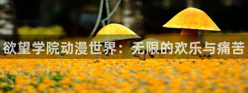 age动漫最新番剧推荐