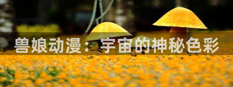 age动漫下载免费版