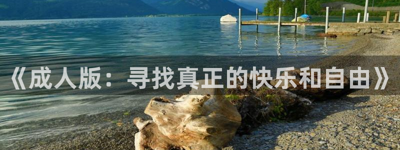 age动漫显示有病毒：《成人版：寻找真正的快乐和自由》
